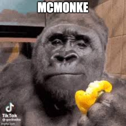 condescending monke | MCMONKE | image tagged in condescending monke | made w/ Imgflip meme maker