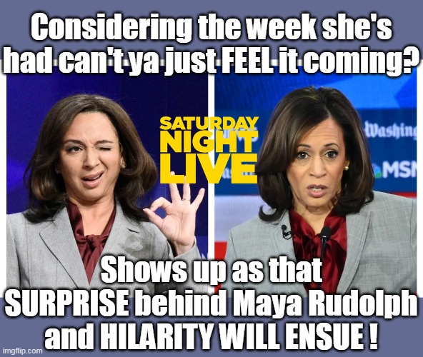 Maybe not this week, but soon, bet my testes | Considering the week she's had can't ya just FEEL it coming? Shows up as that SURPRISE behind Maya Rudolph and HILARITY WILL ENSUE ! | image tagged in snl to lick taint for harris walz meme | made w/ Imgflip meme maker