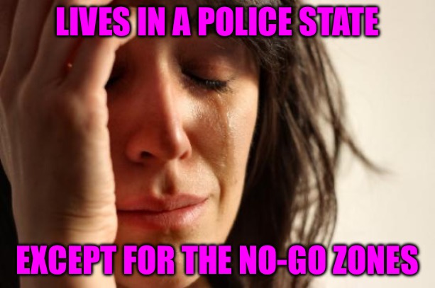 NWO Police Statist | LIVES IN A POLICE STATE; EXCEPT FOR THE NO-GO ZONES | image tagged in memes,statism,police state,nwo police state,they live,political memes | made w/ Imgflip meme maker