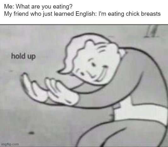 Imagine | Me: What are you eating?
My friend who just learned English: I'm eating chick breasts | image tagged in fallout hold up | made w/ Imgflip meme maker