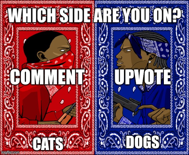 Do both if you love cats and dogs | COMMENT; UPVOTE; CATS; DOGS | image tagged in which side are you on | made w/ Imgflip meme maker