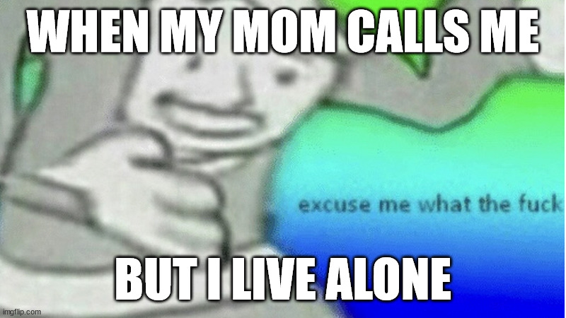 Excuse me what the f*ck | WHEN MY MOM CALLS ME; BUT I LIVE ALONE | image tagged in excuse me what the f ck | made w/ Imgflip meme maker