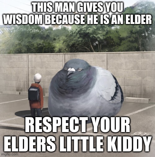 kiddy | THIS MAN GIVES YOU WISDOM BECAUSE HE IS AN ELDER; RESPECT YOUR ELDERS LITTLE KIDDY | image tagged in beeg birb | made w/ Imgflip meme maker