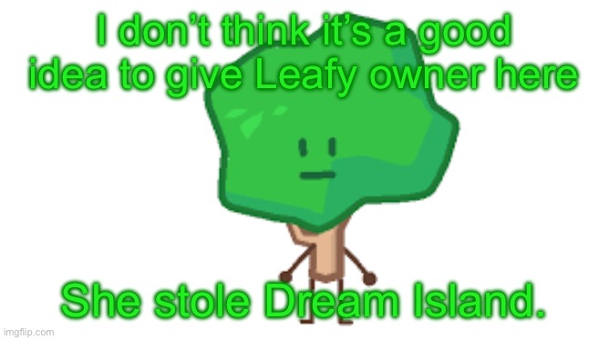 ._. | I don’t think it’s a good idea to give Leafy owner here; She stole Dream Island. | image tagged in _ | made w/ Imgflip meme maker