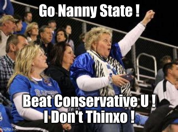 Beat Nanny State ! | Go Nanny State ! Beat Conservative U !
I Don't Thinxo ! | image tagged in mom at football game,political meme,politics,funny memes,funny | made w/ Imgflip meme maker