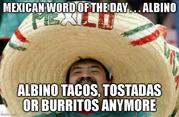 mexican word of the day | MEXICAN WORD OF THE DAY . . . ALBINO; ALBINO TACOS, TOSTADAS OR BURRITOS ANYMORE | image tagged in mexican word of the day,funny memes,lol so funny,ha ha | made w/ Imgflip meme maker