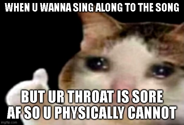 Sad cat thumbs up | WHEN U WANNA SING ALONG TO THE SONG; BUT UR THROAT IS SORE AF SO U PHYSICALLY CANNOT | image tagged in sad cat thumbs up | made w/ Imgflip meme maker