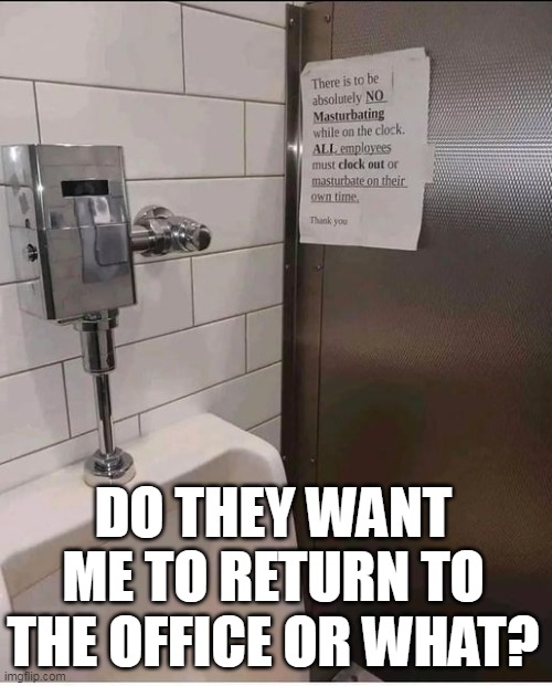 Do they want me to return to the office or what? | DO THEY WANT ME TO RETURN TO THE OFFICE OR WHAT? | image tagged in toilet,funny,office,work,masturbating | made w/ Imgflip meme maker