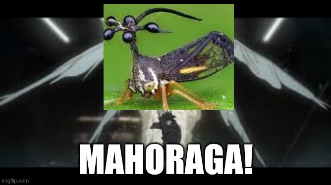 bug raga | MAHORAGA! | image tagged in jjk,jujutsu kaisen,funny,nah i'd win | made w/ Imgflip meme maker