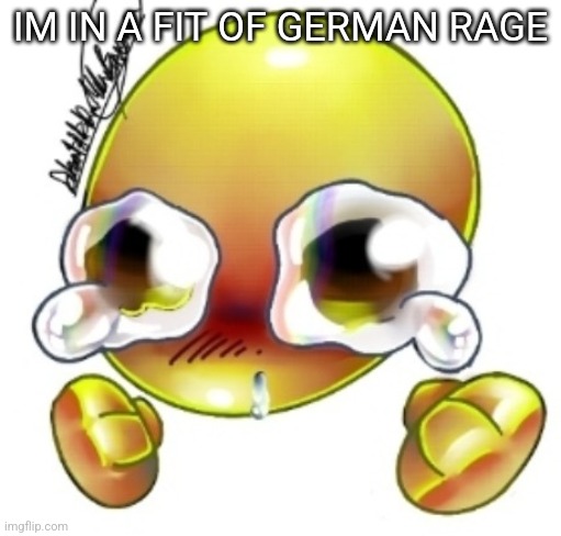 Ggghhhhhghghghhhgh | IM IN A FIT OF GERMAN RAGE | image tagged in ggghhhhhghghghhhgh | made w/ Imgflip meme maker