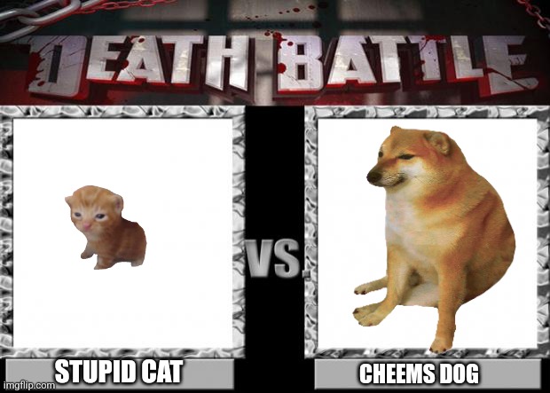 death battle | STUPID CAT; CHEEMS DOG | image tagged in death battle | made w/ Imgflip meme maker