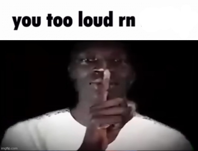 You too loud rn | image tagged in you too loud rn | made w/ Imgflip meme maker