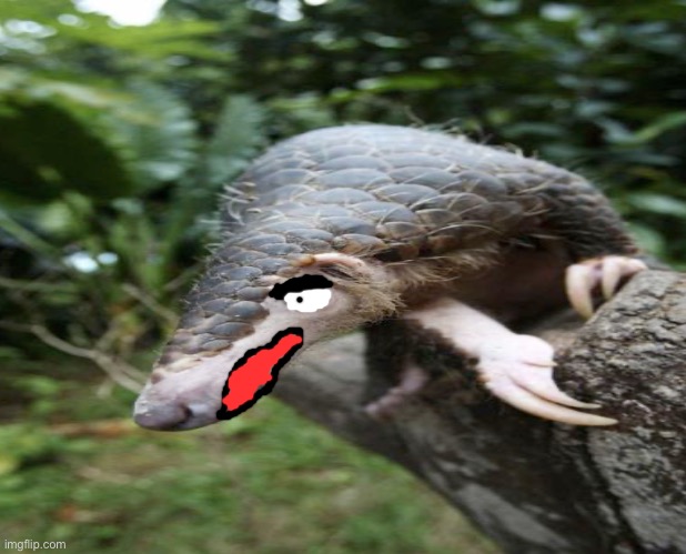 Unsettled Pangolin Blank Meme Template