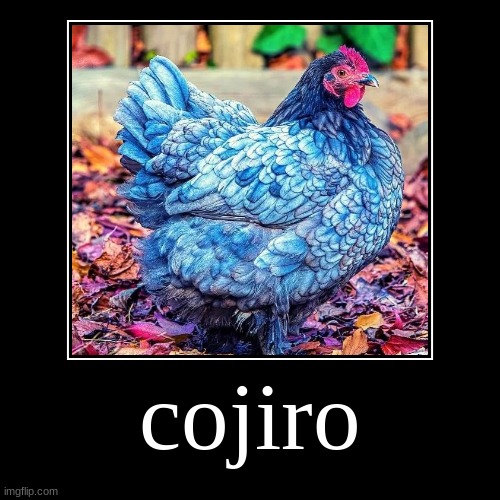 cojiro | cojiro | | image tagged in cojiro | made w/ Imgflip demotivational maker
