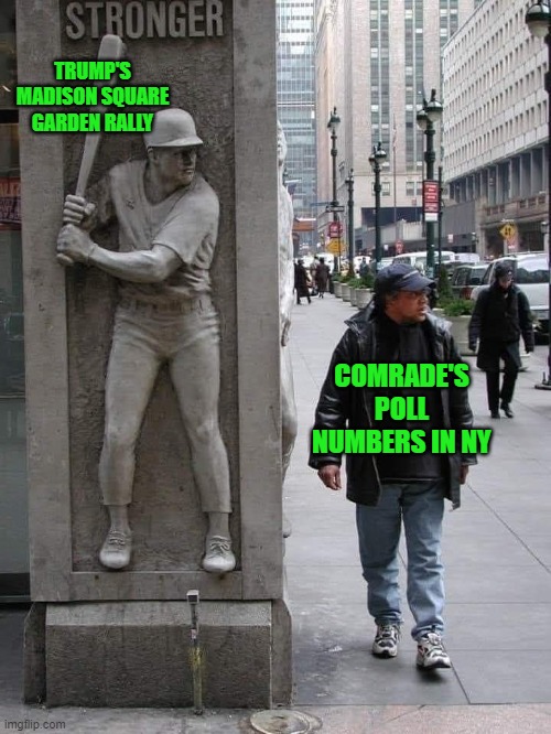 Reality Hits you Hard, Bro | TRUMP'S MADISON SQUARE GARDEN RALLY COMRADE'S POLL NUMBERS IN NY | image tagged in life hits you | made w/ Imgflip meme maker