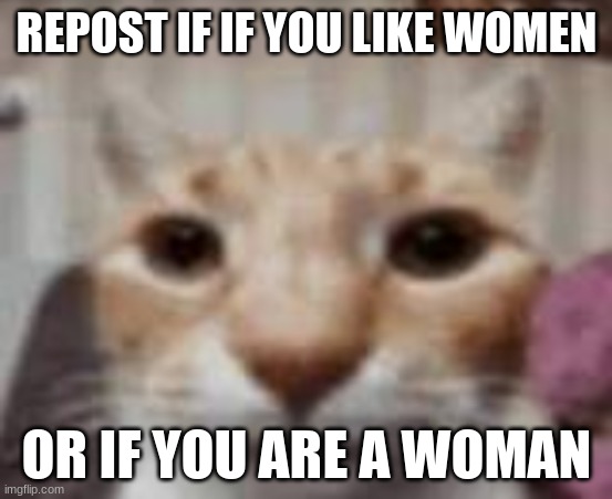 :| | REPOST IF IF YOU LIKE WOMEN; OR IF YOU ARE A WOMAN | made w/ Imgflip meme maker
