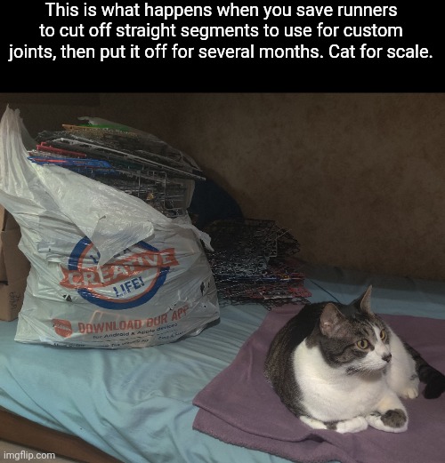 I have let this sit for WAY too long. I'm gonna deal with it later but I have things to do rn | This is what happens when you save runners to cut off straight segments to use for custom joints, then put it off for several months. Cat for scale. | made w/ Imgflip meme maker