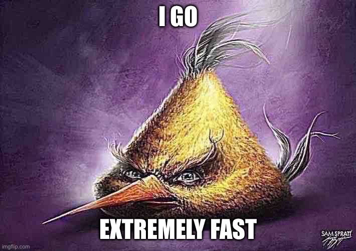 Realistic yellow angry bird | I GO EXTREMELY FAST | image tagged in realistic yellow angry bird | made w/ Imgflip meme maker