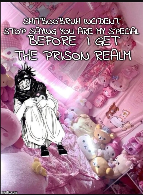 literally me fr | SHITBOOBRUH INCIDENT STOP SAYING YOU ARE MY SPECIAL; BEFORE  I GET THE PRISON REALM | image tagged in literally me fr | made w/ Imgflip meme maker