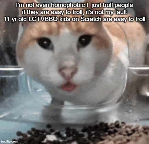 Mr Shock stare | I'm not even homophobic I  just troll people if they are easy to troll, it's not my fault 11 yr old LGTVBBQ kids on Scratch are easy to troll | image tagged in mr shock stare | made w/ Imgflip meme maker