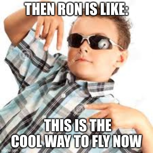 Cool kid sunglasses | THEN RON IS LIKE: THIS IS THE COOL WAY TO FLY NOW | image tagged in cool kid sunglasses | made w/ Imgflip meme maker