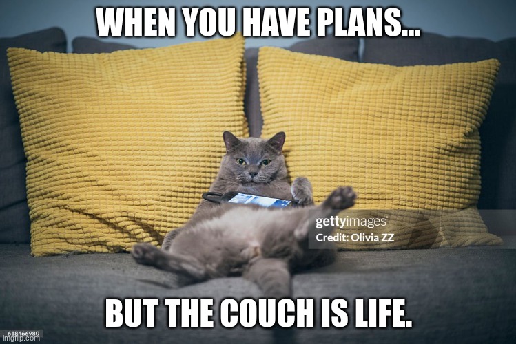 I love the COUCH | WHEN YOU HAVE PLANS... BUT THE COUCH IS LIFE. | image tagged in funny,chill | made w/ Imgflip meme maker