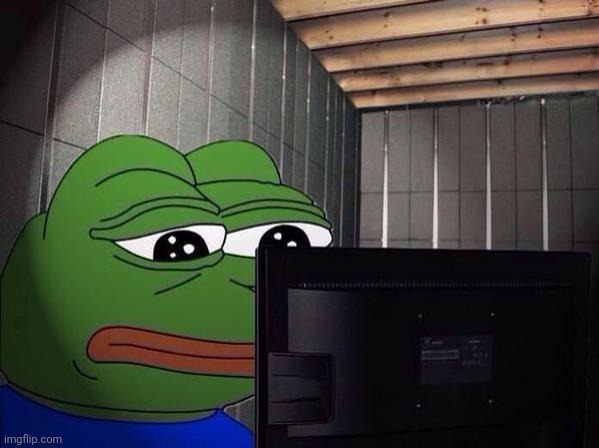 Sad Pepe at a computer | image tagged in sad pepe at a computer | made w/ Imgflip meme maker