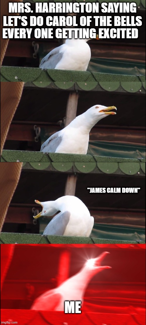 music | MRS. HARRINGTON SAYING LET'S DO CAROL OF THE BELLS; EVERY ONE GETTING EXCITED; "JAMES CALM DOWN"; ME | image tagged in memes,inhaling seagull | made w/ Imgflip meme maker
