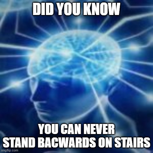 but you didn't have to cut me off | DID YOU KNOW; YOU CAN NEVER STAND BACWARDS ON STAIRS | image tagged in but you didn't have to cut me off | made w/ Imgflip meme maker