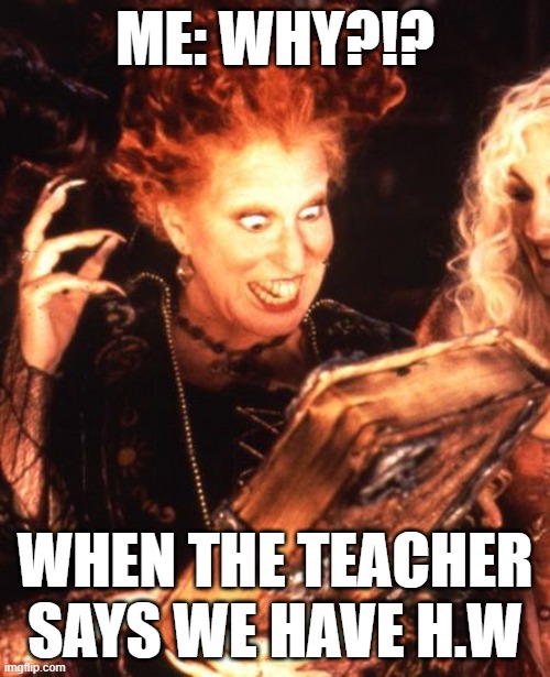 hi man | ME: WHY?!? WHEN THE TEACHER SAYS WE HAVE H.W | image tagged in winifred book | made w/ Imgflip meme maker