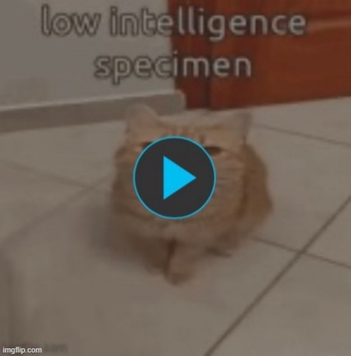 image tagged in gifs | made w/ Imgflip meme maker