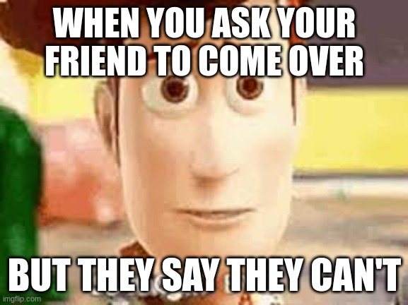 Sad woody | WHEN YOU ASK YOUR FRIEND TO COME OVER; BUT THEY SAY THEY CAN'T | image tagged in funny memes,sad | made w/ Imgflip meme maker