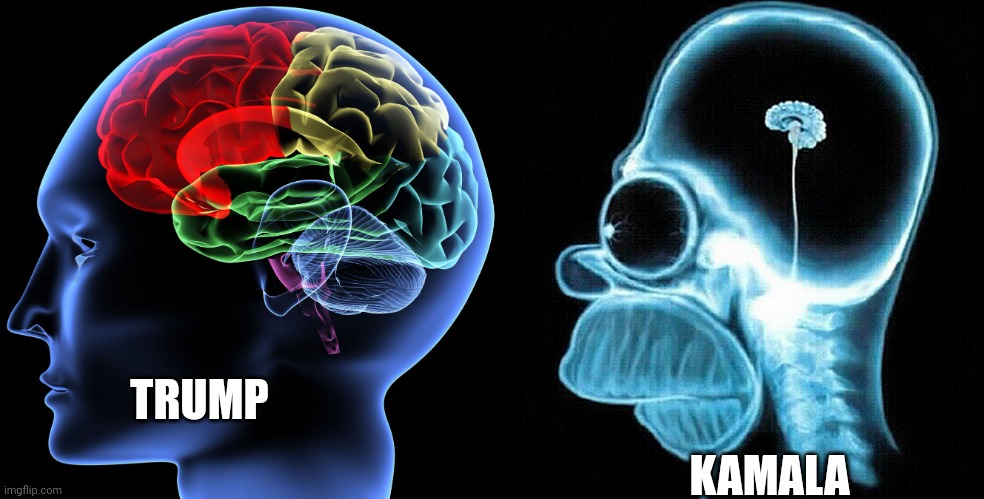 Brain versus Homer Brain | TRUMP KAMALA | image tagged in brain versus homer brain | made w/ Imgflip meme maker