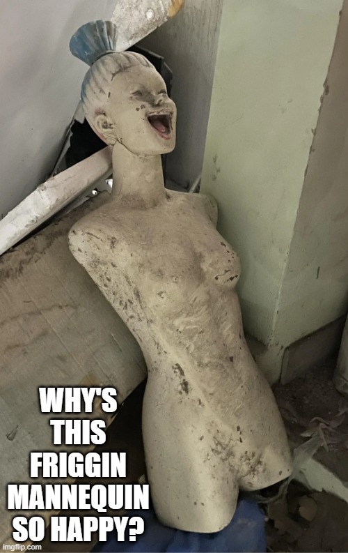 Creepy Mannequin | WHY'S THIS FRIGGIN MANNEQUIN SO HAPPY? | image tagged in cursed image | made w/ Imgflip meme maker