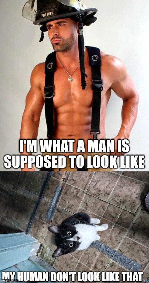 I'M WHAT A MAN IS SUPPOSED TO LOOK LIKE; MY HUMAN DON'T LOOK LIKE THAT | image tagged in firefighter,surprised sylvester | made w/ Imgflip meme maker