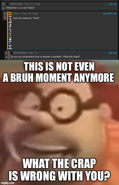 Everyone and there GRANDMOTHERS know what "vibes" mean and there is no drop of exaggeration in that | image tagged in this is not even a bruh moment anymore | made w/ Imgflip meme maker