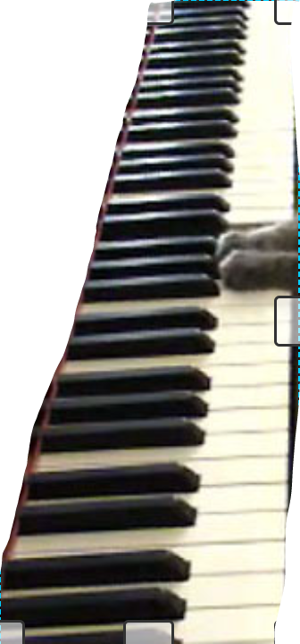 Piano Blank Meme Template