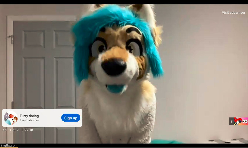 I GOT AN AD ON FURRY DATING!!!!! not sure why dating but anyways... | image tagged in meow,woof | made w/ Imgflip meme maker