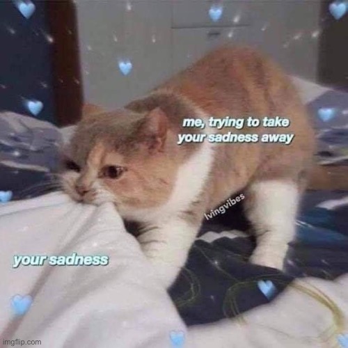 Why is the lgbt always so sad in this stream, Don’t be sad <3 | made w/ Imgflip meme maker