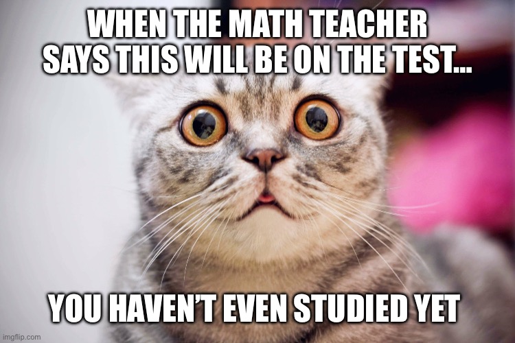 OH SHOOT | WHEN THE MATH TEACHER SAYS THIS WILL BE ON THE TEST…; YOU HAVEN’T EVEN STUDIED YET | image tagged in funny,oh no | made w/ Imgflip meme maker