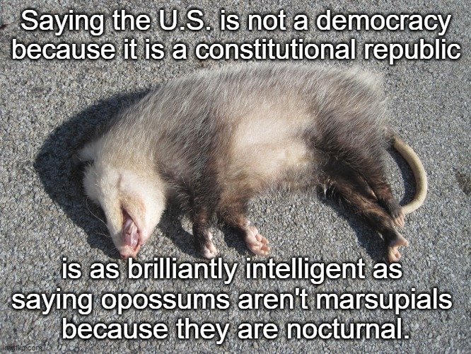 And by brilliantly intelligent I mean basically genius level for anyone who actually believes that drivel. | Saying the U.S. is not a democracy because it is a constitutional republic; is as brilliantly intelligent as 
saying opossums aren't marsupials 
because they are nocturnal. | image tagged in democracy haters can get the hell out of my county | made w/ Imgflip meme maker