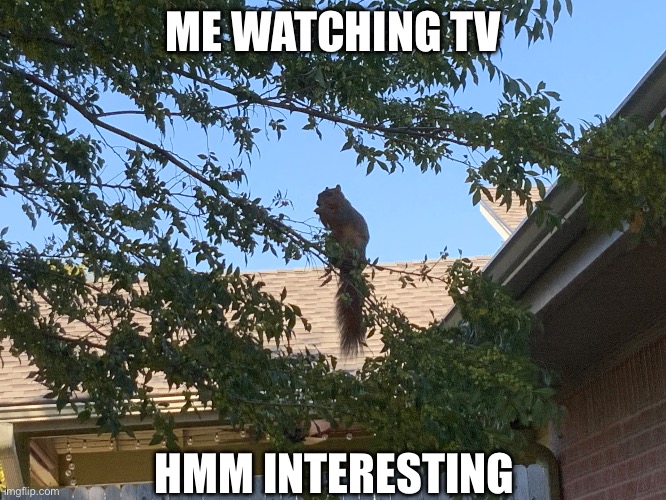 ME WATCHING TV; HMM INTERESTING | image tagged in fun | made w/ Imgflip meme maker