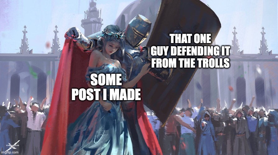 Has this ever happened to you? | THAT ONE GUY DEFENDING IT FROM THE TROLLS; SOME POST I MADE | image tagged in knight protecting princess,wholesome,hero,that s what heroes do,good guy greg,kindness | made w/ Imgflip meme maker