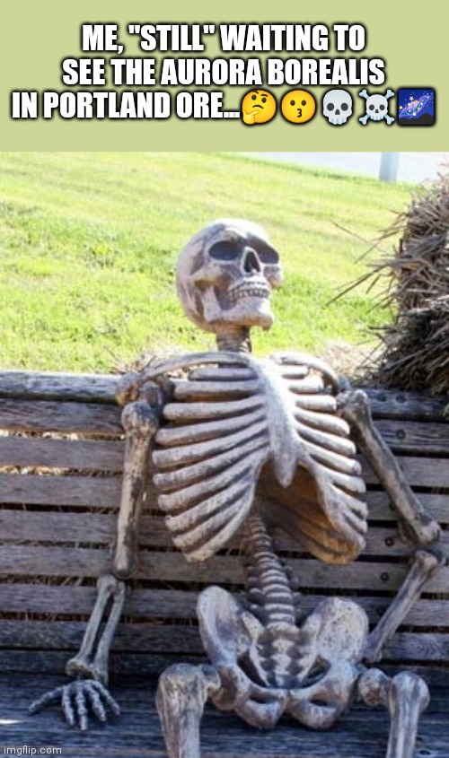 Aurora Borealis PDX | ME, "STILL" WAITING TO SEE THE AURORA BOREALIS IN PORTLAND ORE...🤔😗💀☠️🌌 | image tagged in skeleton on bench | made w/ Imgflip meme maker