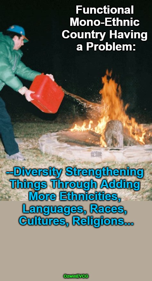 "Diversity" Junkies Are Getting People and Countries--Killed | Functional 

Mono-Ethnic 

Country Having 

a Problem:; --Diversity Strengthening 

Things Through Adding 

More Ethnicities, 

Languages, Races, 

Cultures, Religions... OzwinEVCG | image tagged in guy pouring gasoline into fire,diversity,liberal logic,clown world,insanity,globalism | made w/ Imgflip meme maker