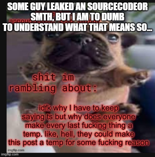 Template godly wow | SOME GUY LEAKED AN SOURCECODEOR SMTH, BUT I AM TO DUMB TO UNDERSTAND WHAT THAT MEANS SO... | image tagged in template godly wow | made w/ Imgflip meme maker