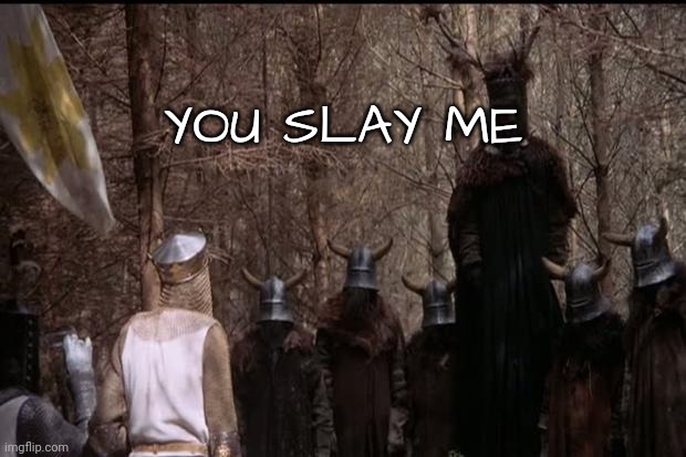 knights who say ni | YOU SLAY ME | image tagged in knights who say ni | made w/ Imgflip meme maker