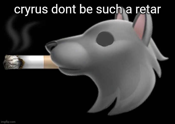 epic fucking wolf smoking a cigar | cryrus dont be such a retar | image tagged in epic fucking wolf smoking a cigar | made w/ Imgflip meme maker