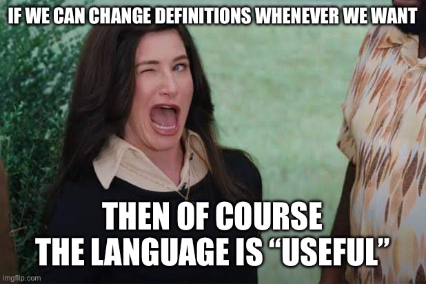 WandaVision Agnes wink | IF WE CAN CHANGE DEFINITIONS WHENEVER WE WANT THEN OF COURSE THE LANGUAGE IS “USEFUL” | image tagged in wandavision agnes wink | made w/ Imgflip meme maker