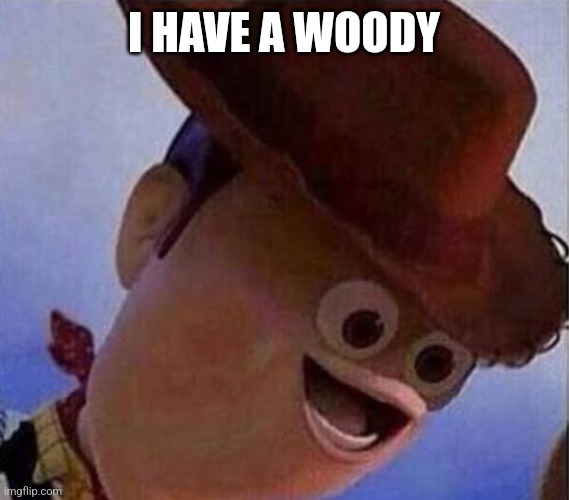 Derp Woody | I HAVE A WOODY | image tagged in derp woody | made w/ Imgflip meme maker